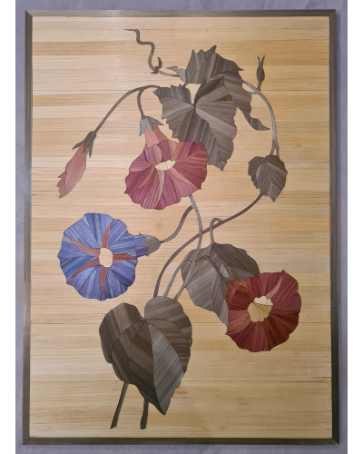 Tableau floral « Ipomea Quamoclit »