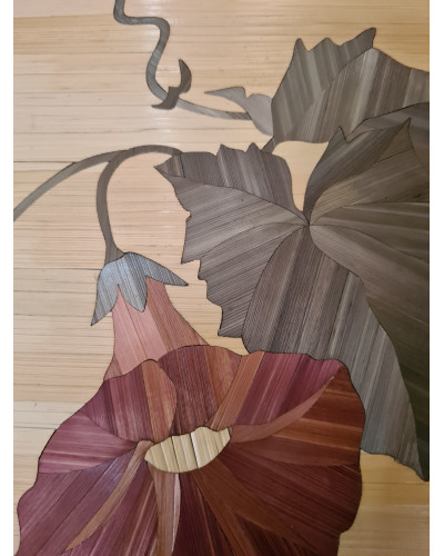 Tableau floral « Ipomea Quamoclit »