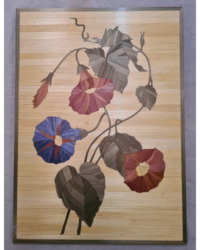 Tableau floral « Ipomea Quamoclit »